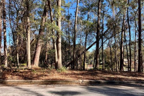 Land in Gainesville, Florida № 1427748 - photo 6