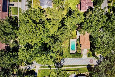 Land in Gainesville, Florida № 1427748 - photo 5