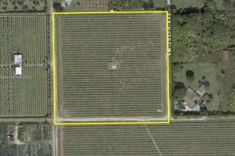 Commercial property in Homestead, Florida № 1860260 - photo 1