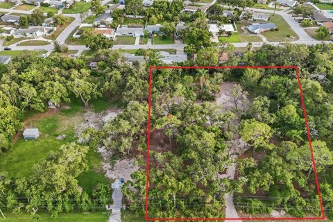 House in Seminole, Florida 6 bedrooms, 400.41 sq.m. № 2197821 - photo 22
