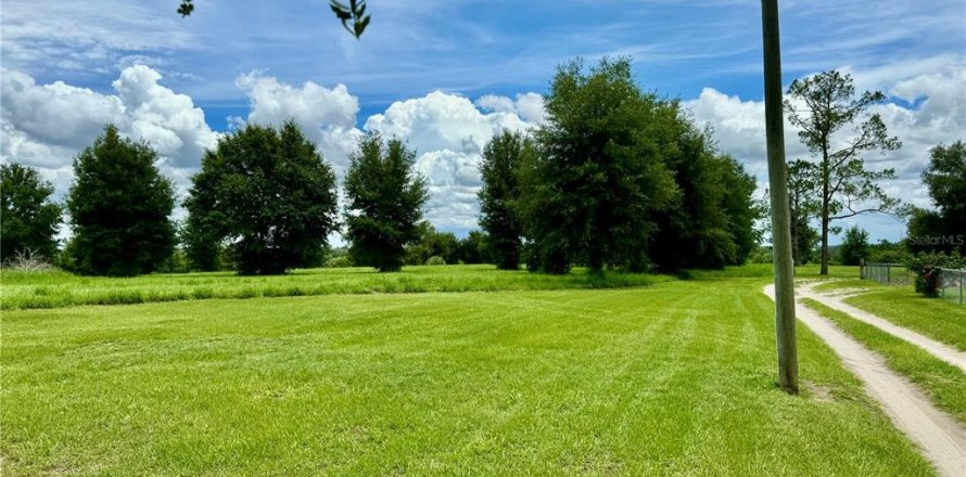 Terreno en Zephyrhills, Florida № 1823081