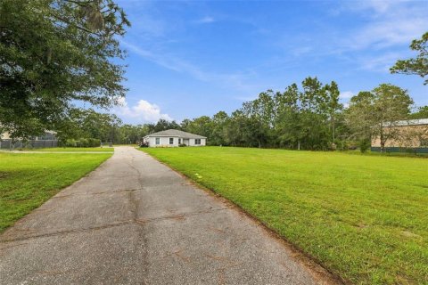 Villa ou maison à vendre à Odessa, Floride: 4 chambres, 204.01 m2 № 2407078 - photo 2