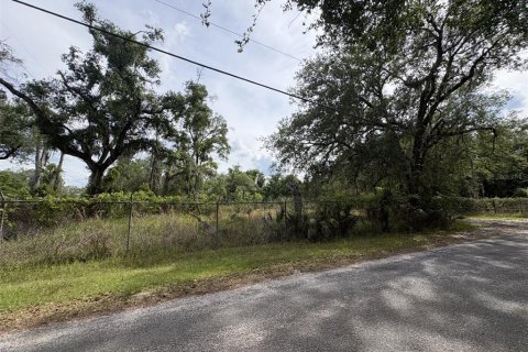 Terrain à Osteen, Floride № 2106945
