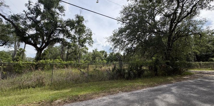Terrain à Osteen, Floride № 2106945