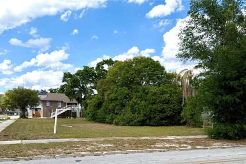Land in Winter Haven, Florida № 2212078 - photo 2