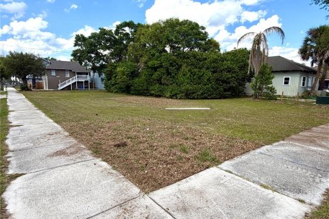 Land in Winter Haven, Florida № 2212078