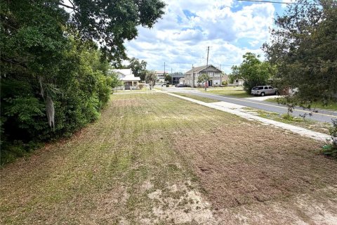 Land in Winter Haven, Florida № 2212078 - photo 4