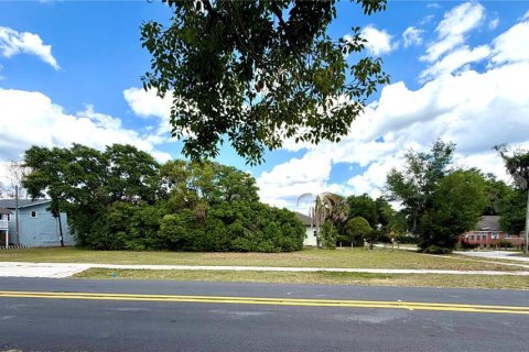 Land in Winter Haven, Florida № 2212078 - photo 3