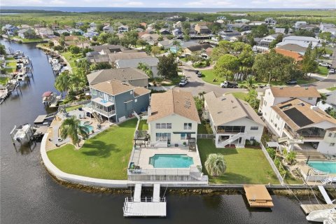 Villa ou maison à vendre à New Port Richey, Floride: 5 chambres, 327.57 m2 № 2398528 - photo 2