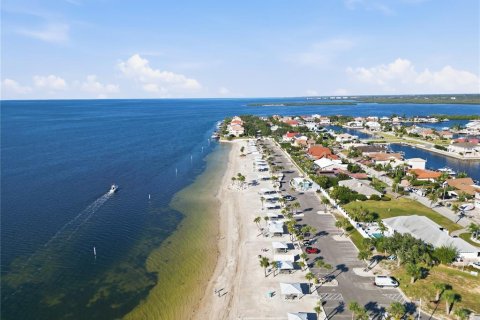 Villa ou maison à vendre à New Port Richey, Floride: 5 chambres, 327.57 m2 № 2398528 - photo 8