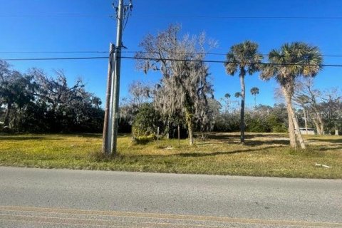 Land in Daytona Beach, Florida № 1544663 - photo 5