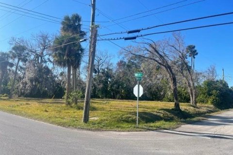 Land in Daytona Beach, Florida № 1544663 - photo 3