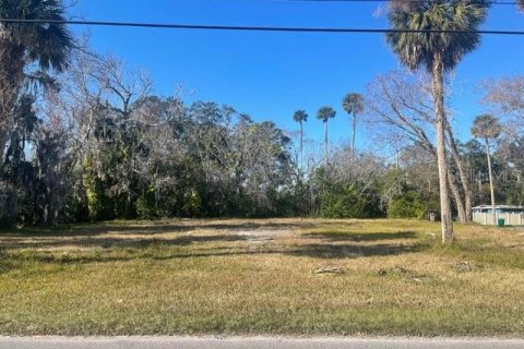 Land in Daytona Beach, Florida № 1544663 - photo 4