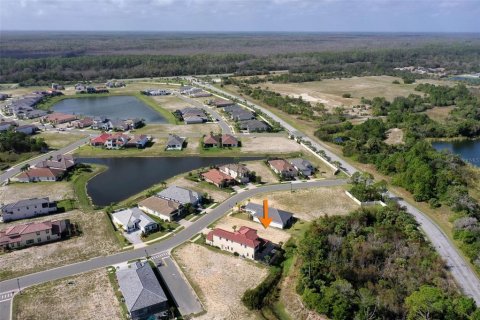 Land in Palm Coast, Florida № 2201908 - photo 17