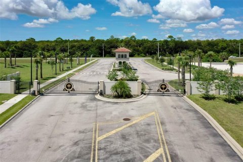 Land in Palm Coast, Florida № 2201908 - photo 5