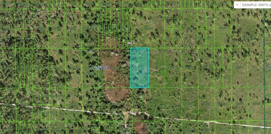 Terreno en Lake Wales, Florida № 2202846