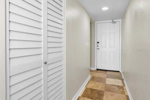 Condo in Saint Pete Beach, Florida, 2 bedrooms  № 1872916 - photo 11