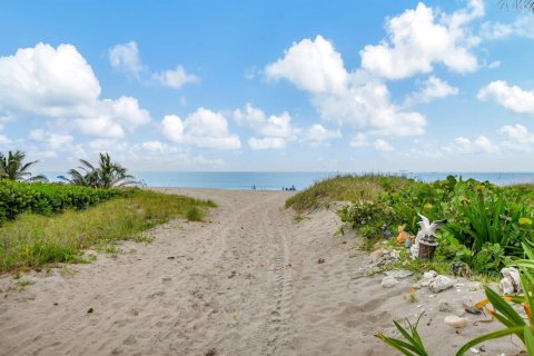 Appartement à louer à Deerfield Beach, Floride: 1 pièce, 41.81 m2 № 2167918 - photo 1