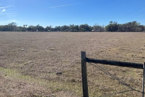 Land in Plant City, Florida № 2212134