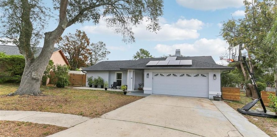House in Palm Harbor, Florida 4 bedrooms, 156.26 sq.m. № 2195165