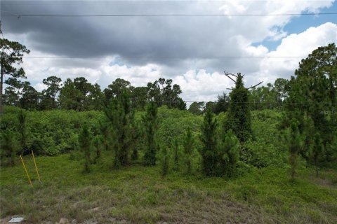 Terrain à Lehigh Acres, Floride № 2165540