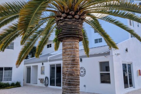 Condo in Pompano Beach, Florida, 2 bedrooms № 2250998 - photo 12