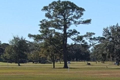 Land in Indian lake estates, Florida № 2159995 - photo 3