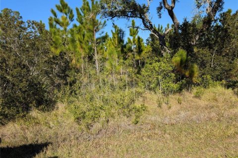Land in Indian lake estates, Florida № 2159995