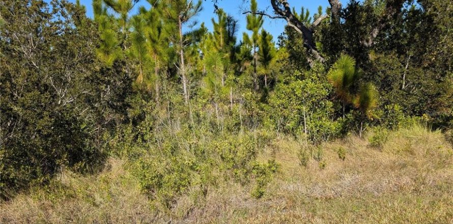 Land in Indian lake estates, Florida № 2159995