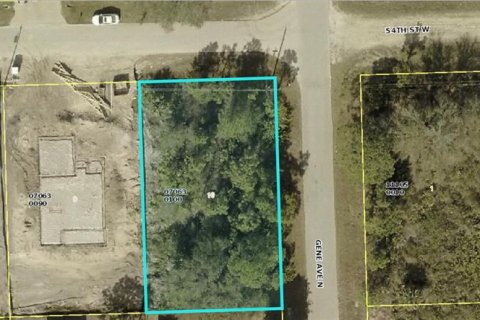 Land in Lehigh Acres, Florida № 2165777 - photo 2