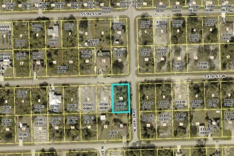 Land in Lehigh Acres, Florida № 2165777 - photo 4