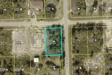 Land in Lehigh Acres, Florida № 2165777 - photo 3