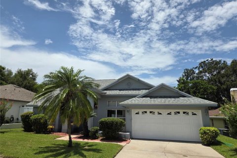 Villa ou maison à vendre à Palm Harbor, Floride: 3 chambres, 176.79 m2 № 2230473 - photo 4