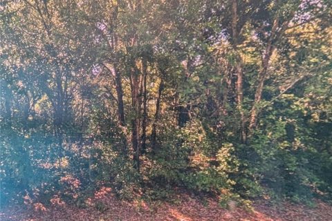 Land in Dunnellon, Florida № 2165199