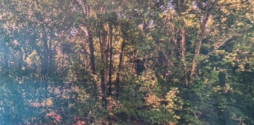 Land in Dunnellon, Florida № 2165199