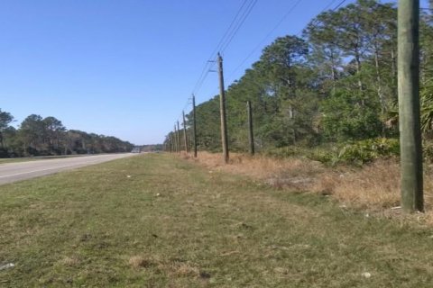 Land in Bunnell, Florida № 2108520 - photo 3