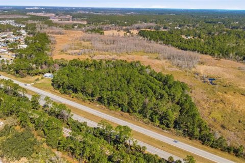 Land in Bunnell, Florida № 2108520