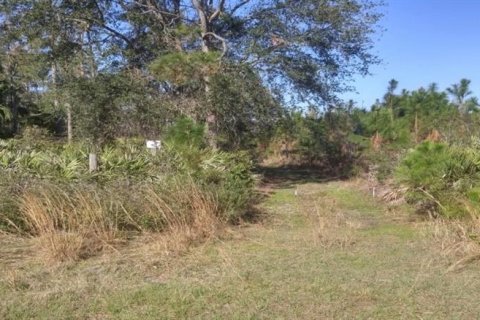 Land in Bunnell, Florida № 2108520 - photo 4