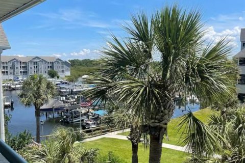 Condominio en alquiler en New Port Richey, Florida, 2 dormitorios, 106.47 m2 № 1521614 - foto 26