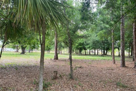 Land in Clewiston, Florida № 1729920 - photo 2
