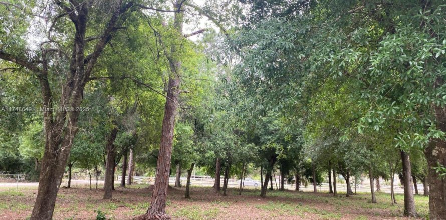 Land in Clewiston, Florida № 1729920