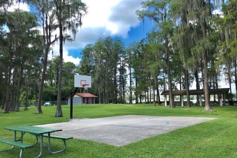 Land in New Port Richey, Florida № 2162674 - photo 5