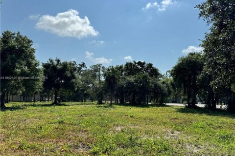 Купить земельный участок в Лабель, Флорида № 1957636 - фото 5