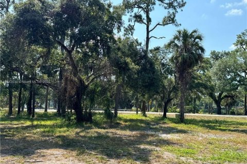 Купить земельный участок в Лабель, Флорида № 1957636 - фото 3