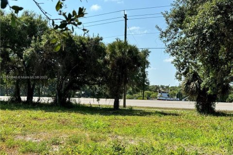 Купить земельный участок в Лабель, Флорида № 1957636 - фото 4