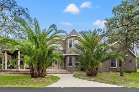 Villa ou maison à vendre à Spring Hill, Floride: 3 chambres, 325.16 m2 № 1634609 - photo 1