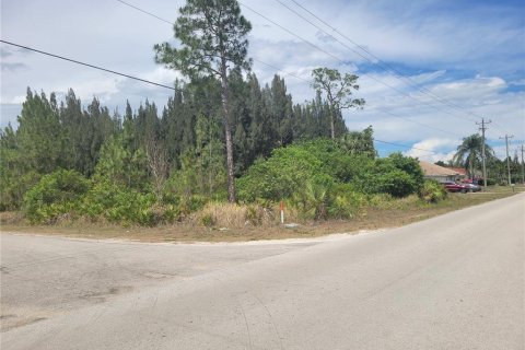 Land in Lehigh Acres, Florida № 2214099 - photo 14