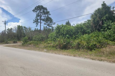 Land in Lehigh Acres, Florida № 2214099 - photo 10