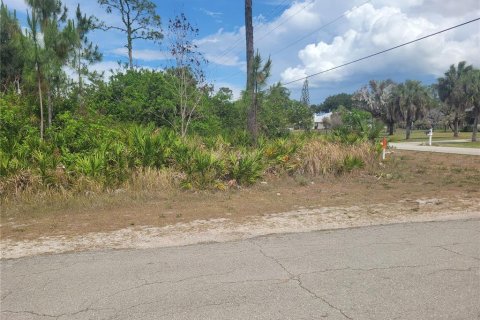 Land in Lehigh Acres, Florida № 2214099 - photo 7