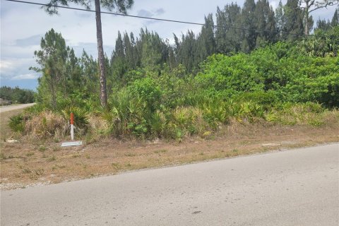 Land in Lehigh Acres, Florida № 2214099 - photo 12